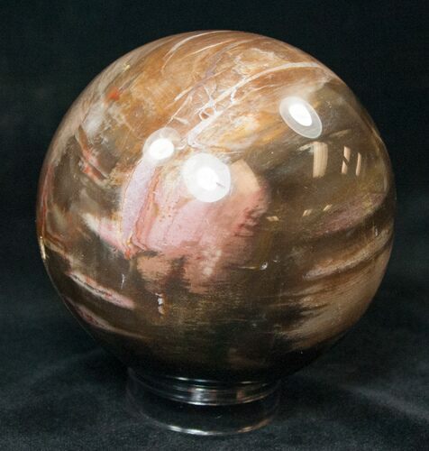 Colorful Petrified Wood Sphere #15113